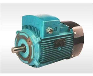 YE3 series aluminum motor